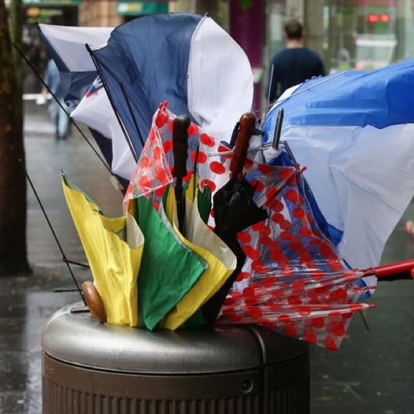 Broken umbrellas stuffed into a street bin on a rainy day in Sydney